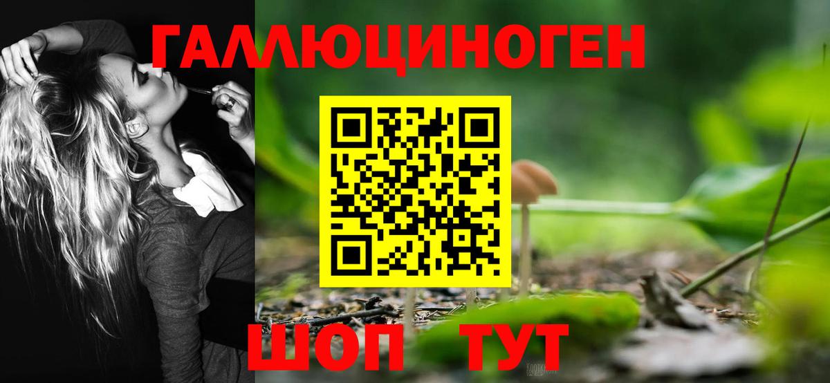 Галлюциногенные грибы прущие грибы  Вход с VPN  Белореченск 