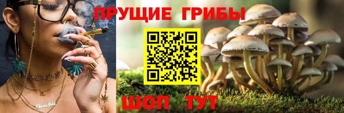 Псилоцибиновые грибы MAGIC MUSHROOMS Белореченск